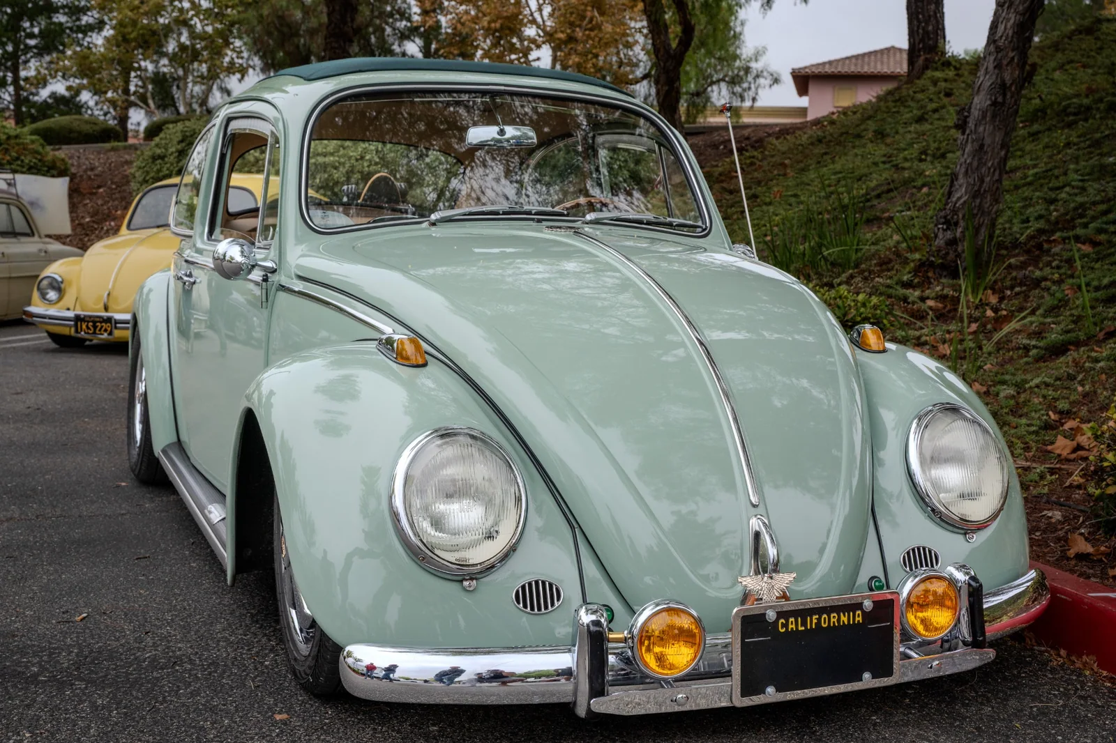 Mint-green Volkswagen Beetle exterior, seen from the front three-quarter angle.
